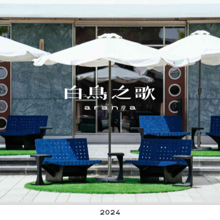 Real-life lounge chair case study at Aranya store featuring tropical modern design