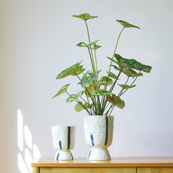 Elegant ceramic flower pot for home and office decor