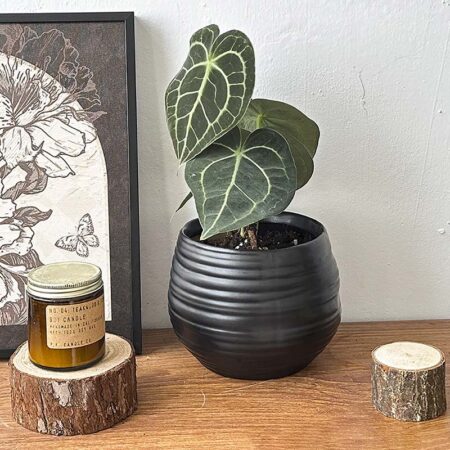 Sort keramisk plantepotte med moderne ribbet design