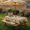 Outdoor garden teak dining table and bench